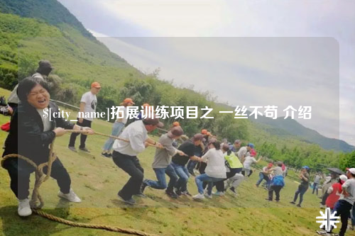 石河子拓展训练项目之 一丝不苟 介绍