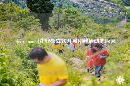 石河子企业都喜欢开展团建活动的原因
